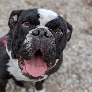 Meet your Posher, Tara